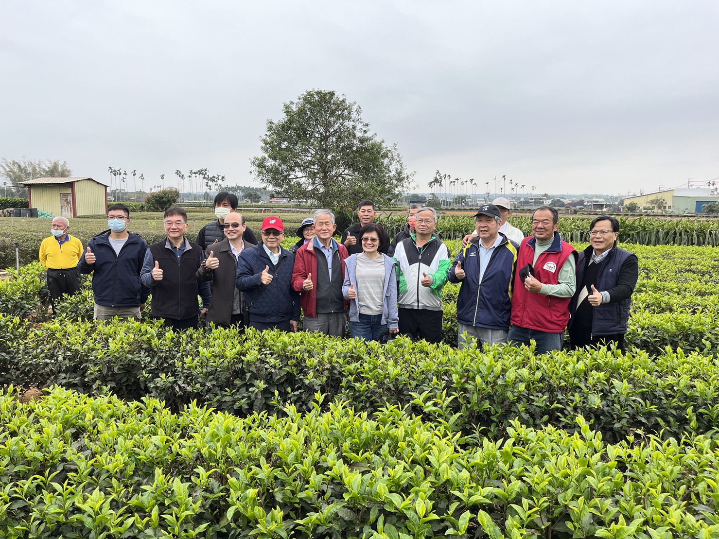 中興大學循環經濟研究學院報導 智慧茶園施用枯草桿菌奈米鈣液肥成效卓著